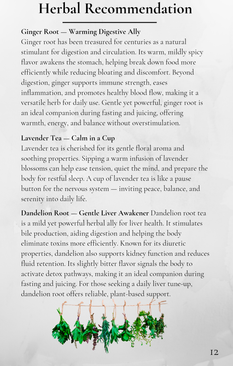 The 30 Day Bio-Mineral Transitional Recipe Book