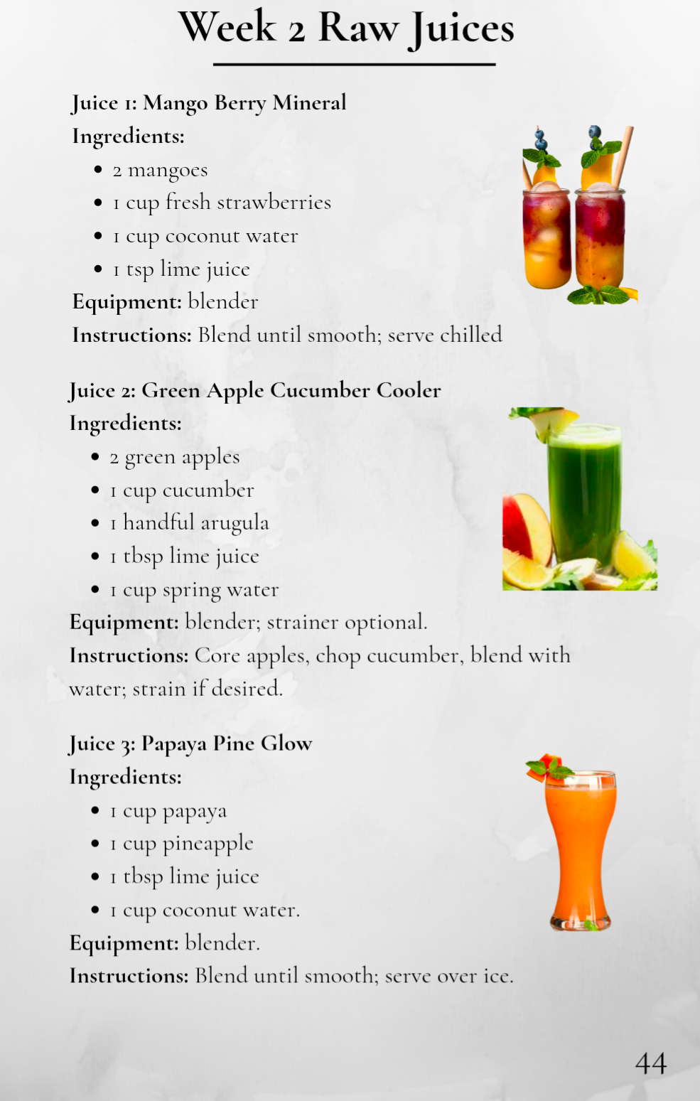 The 30 Day Bio-Mineral Transitional Recipe Book